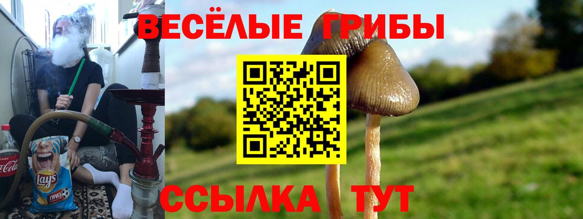 Галлюциногенные грибы мицелий Гуково