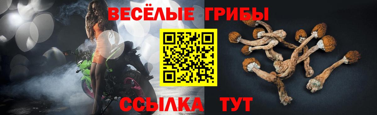 Галлюциногенные грибы прущие грибы  Вход с VPN  Гуково 