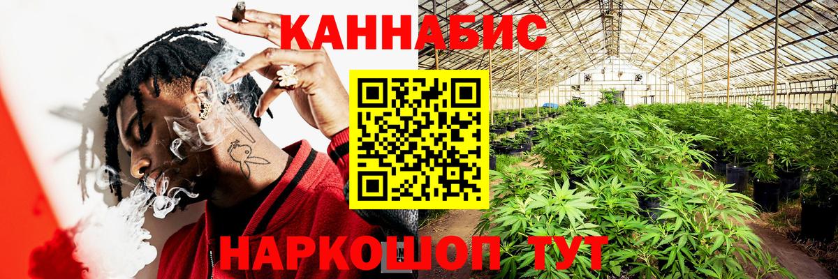 Конопля планчик Гуково
